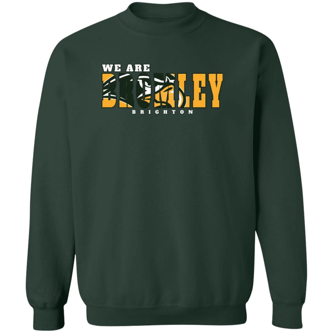 Hawk Originals (WE ARE BROMLEY) Crewneck Pullover Sweatshirt