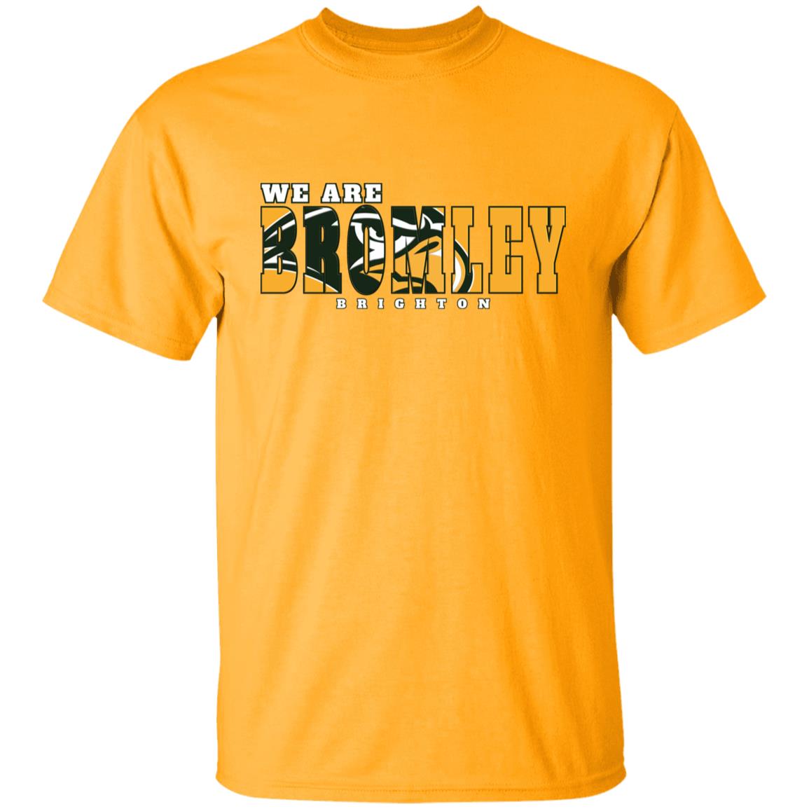 Hawk Originals (WE ARE BROMLEY) Youth 5.3 oz 100% Cotton T-Shirt