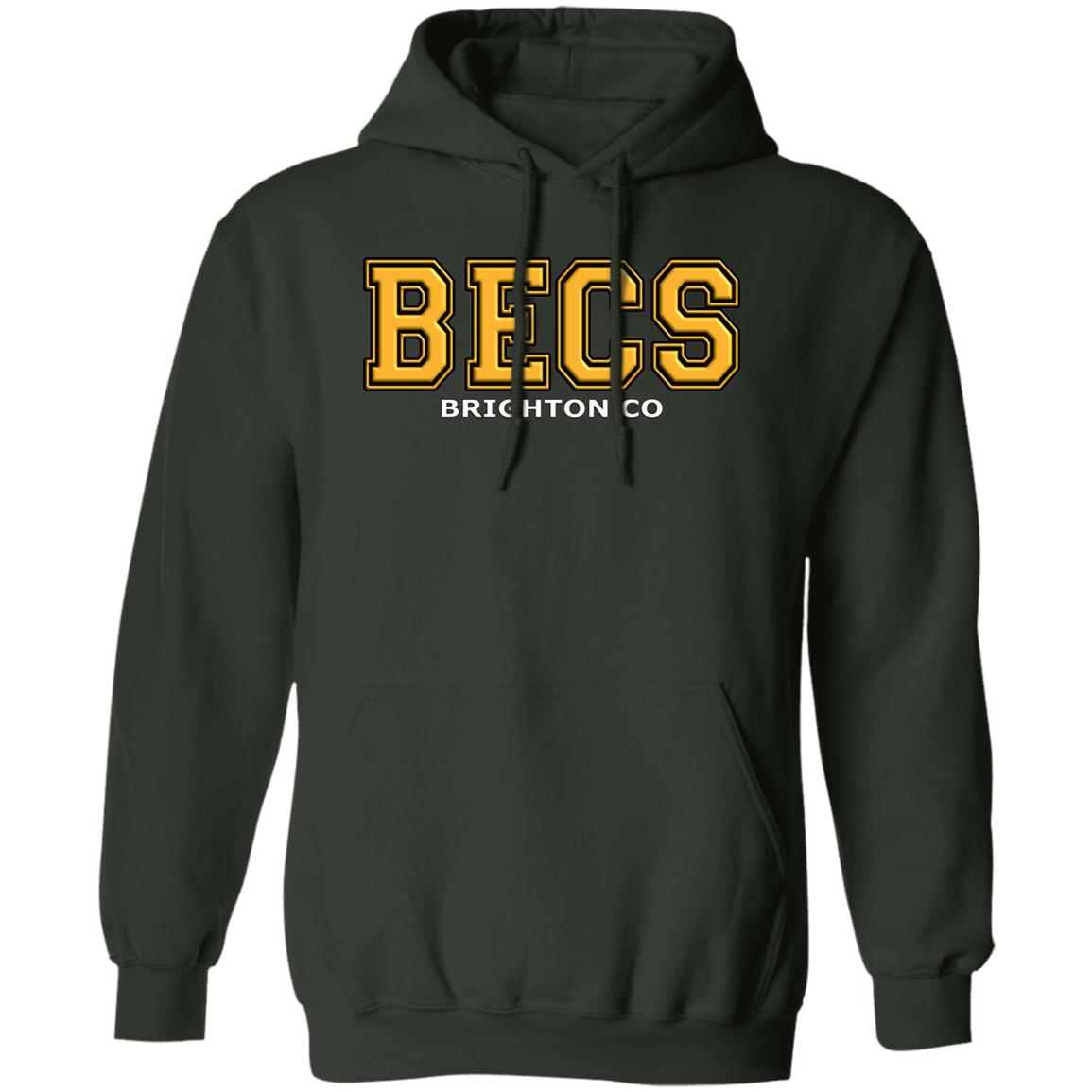Hawk Originals (BECS - Brighton CO) Pullover Hoodie