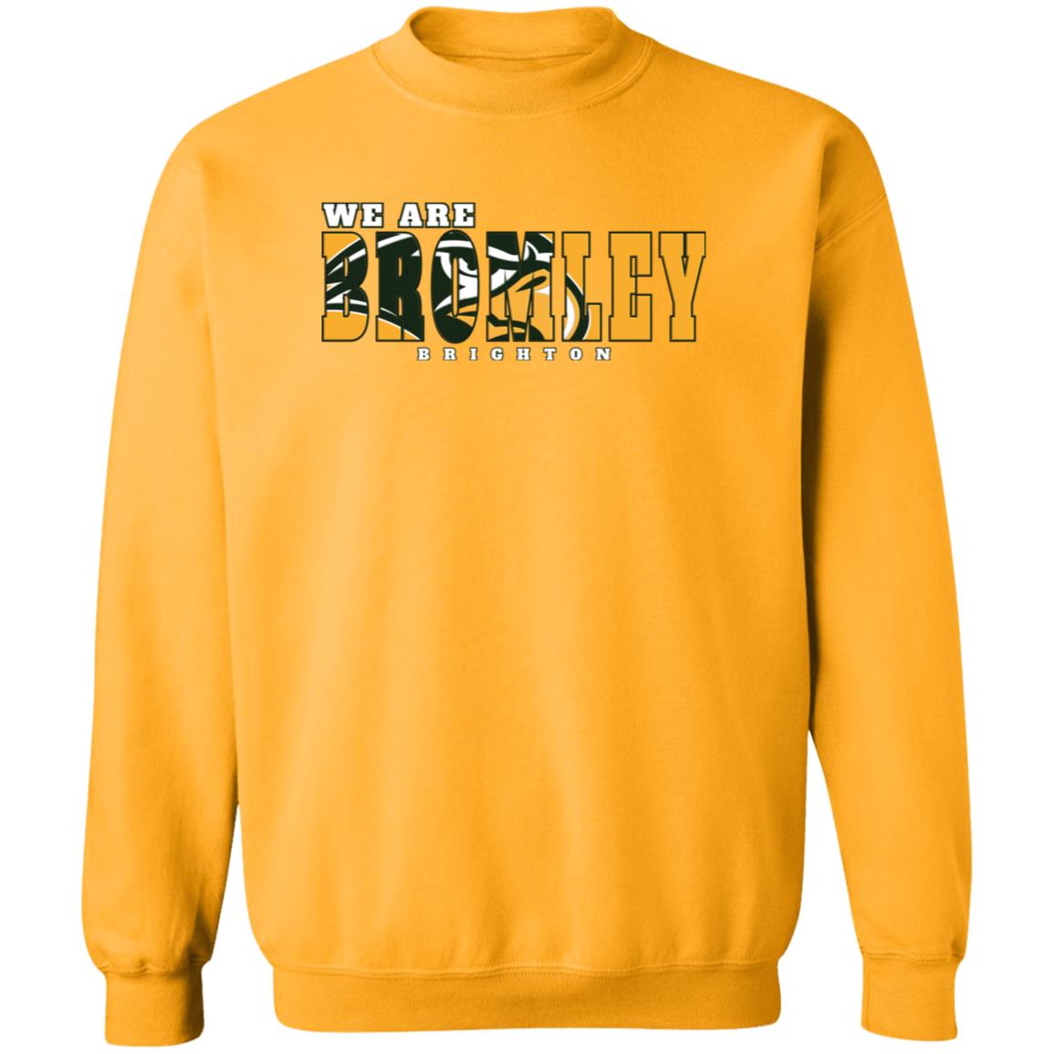 Hawk Originals (WE ARE BROMLEY) Crewneck Pullover Sweatshirt