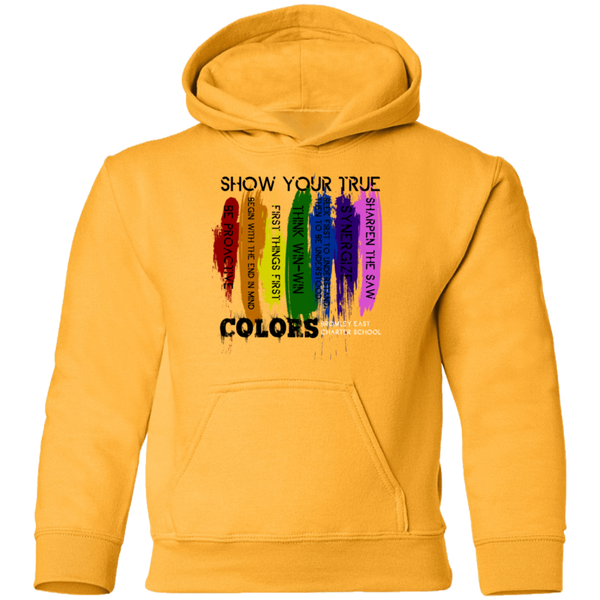 Hawk Originals (Show Your True Colors) Youth Pullover Hoodie
